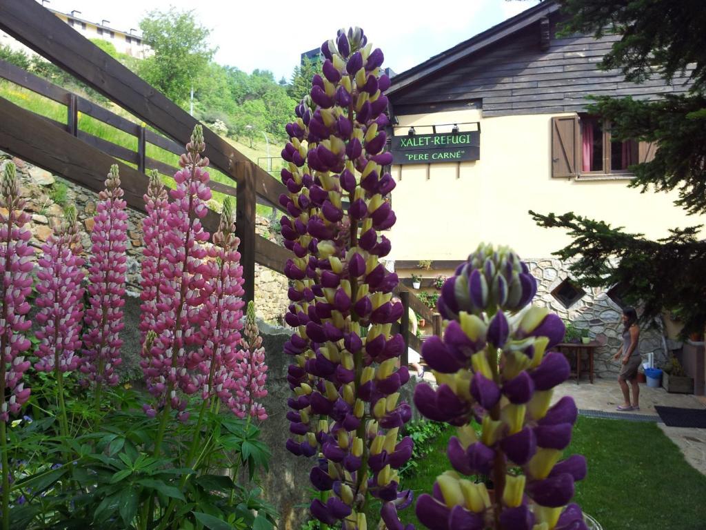 Hostel Xalet Refugi Pere Carne La Molina  Exteriér fotografie