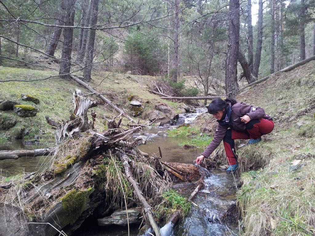 Hostel Xalet Refugi Pere Carne La Molina  Exteriér fotografie