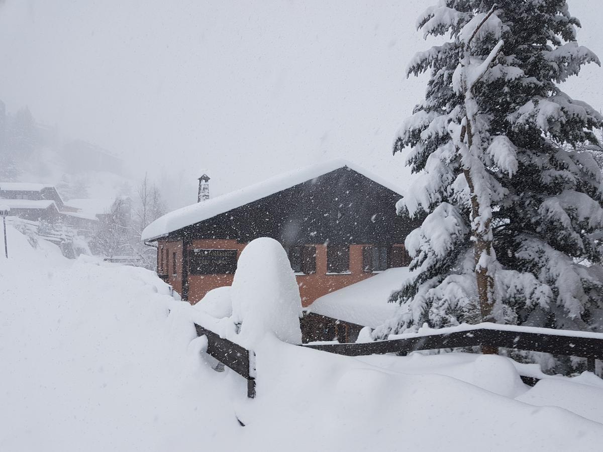 Hostel Xalet Refugi Pere Carne La Molina  Exteriér fotografie